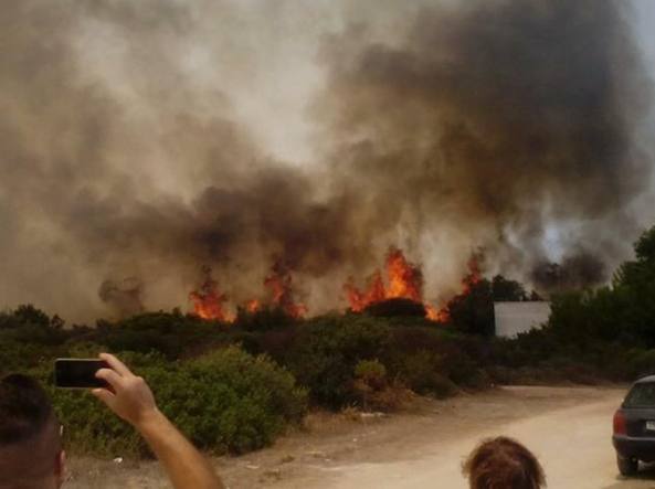Emergenza incendi a Roseto, Atri, Mosciano e Castelnuovo/FOTO