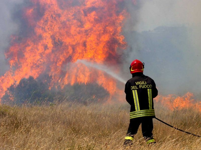 A fuoco un bosco: intervenuti Vigili del Fuoco. Incendio domato dopo ore di combattimento
