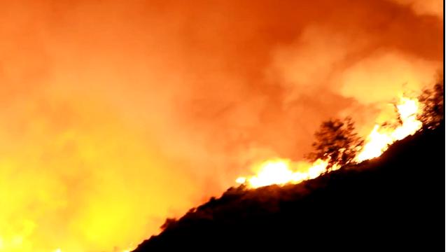 Furioso incendio su “Colle San Bartolo”, tra Marche e Romagna. Evacuati settanta persone